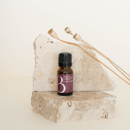 Roman Chamomile Oil